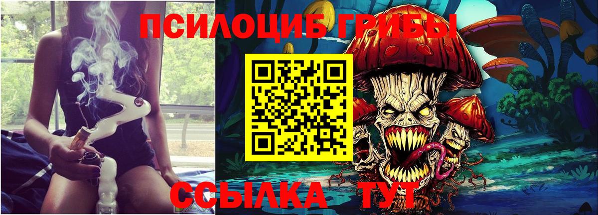 Псилоцибиновые грибы MAGIC MUSHROOMS Карталы